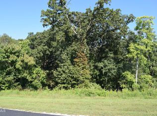 347 Water View Dr, Rockwood, TN 37854