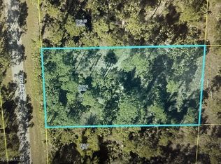 2312 Monroe Ave, Alva, FL 33920