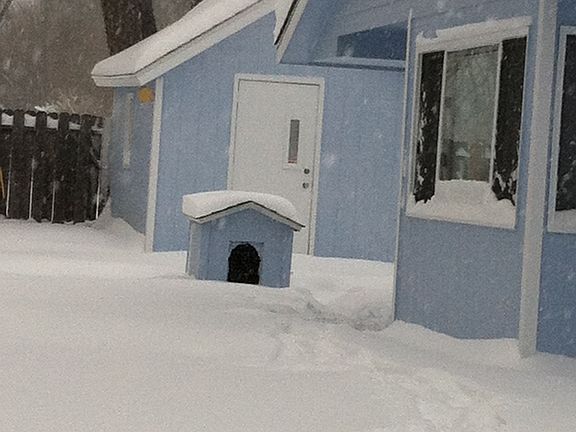 4th image of 323 21st Ave