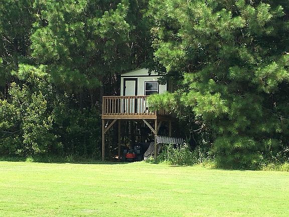 Tree house