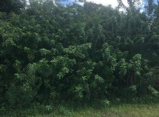 859 Spaulding St E, Lehigh Acres, FL 33974