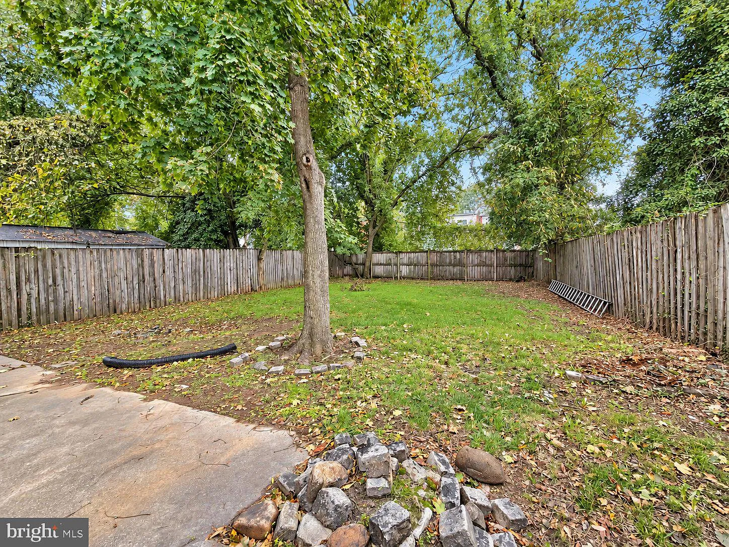 4 bed, 2.5 bath, 2541 sqft, $3,200 — Photo 4