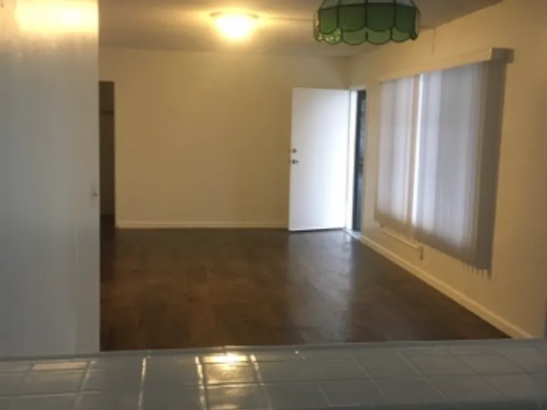 324 N Heliotrope Dr — Photo 5