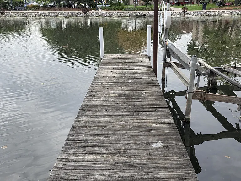 Window View