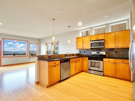 Chef kitchen with stainless steel appliances, sleek cabinets, open concept to living room with and plenty of window for view