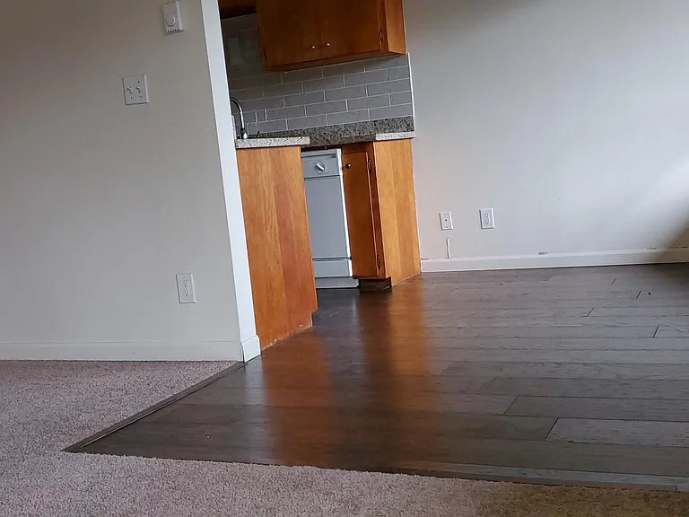 optional unit with carpet availible