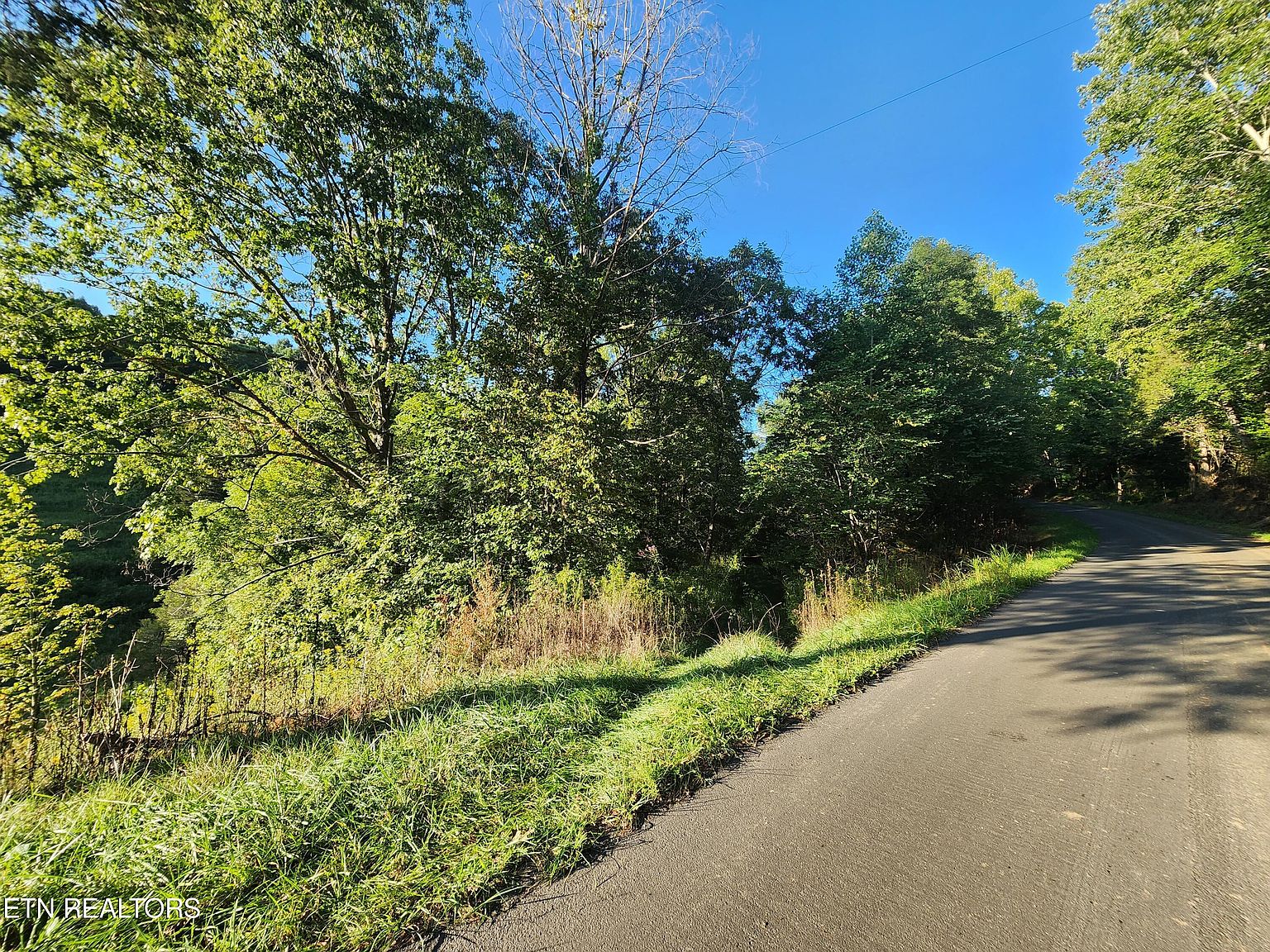 Possum Hollow Rd, Rose Hill, VA 24281 MLS 1238114 Zillow