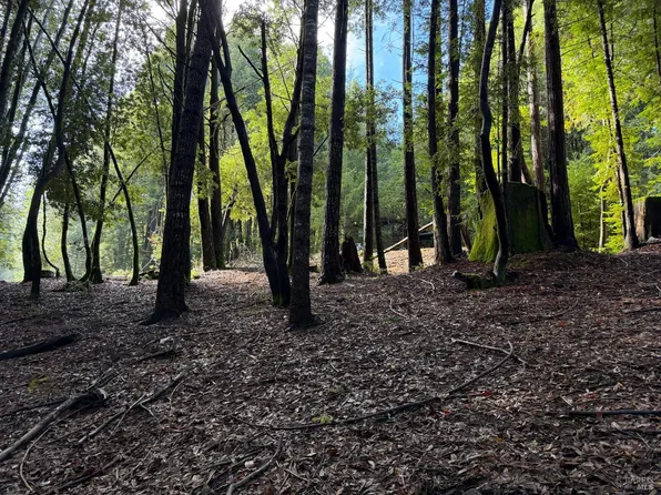 27089 Otter Court, Willits, CA 95490