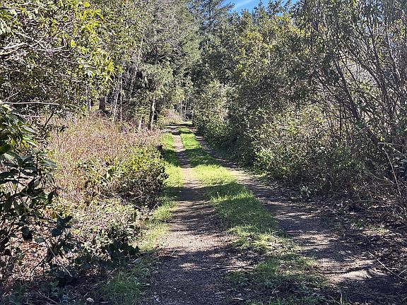 4th image of 96475 Cape Ferrelo Rd