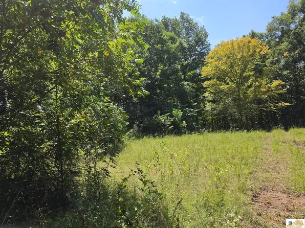 LOT Reese Hurt Rd #B, Edmonton, KY 42129