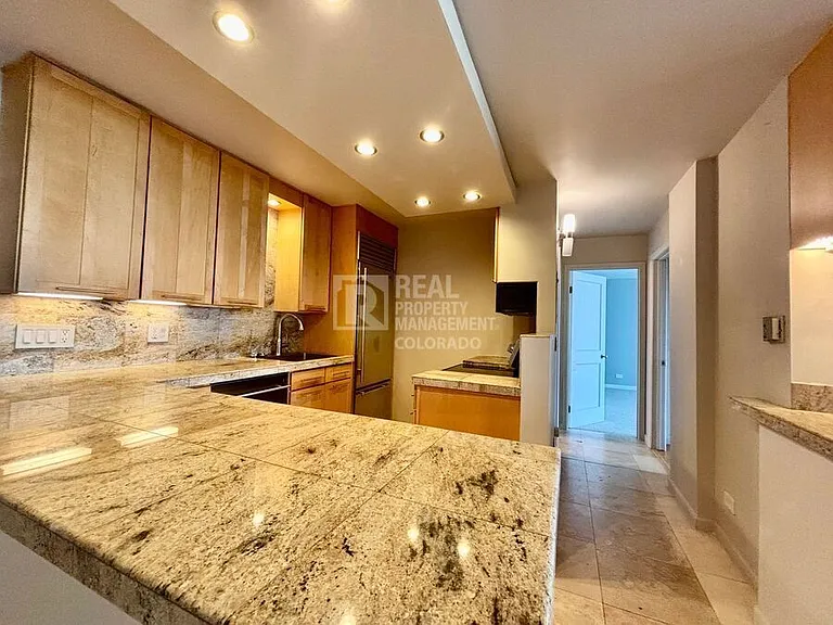 1313 N Williams St #1103 — Photo 5