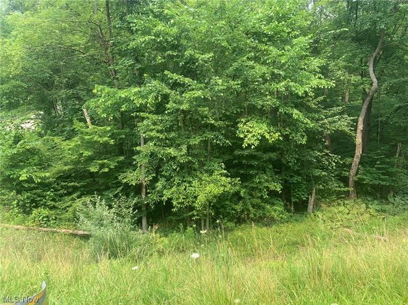 47752 Chippewa Trl, Negley, OH 44441