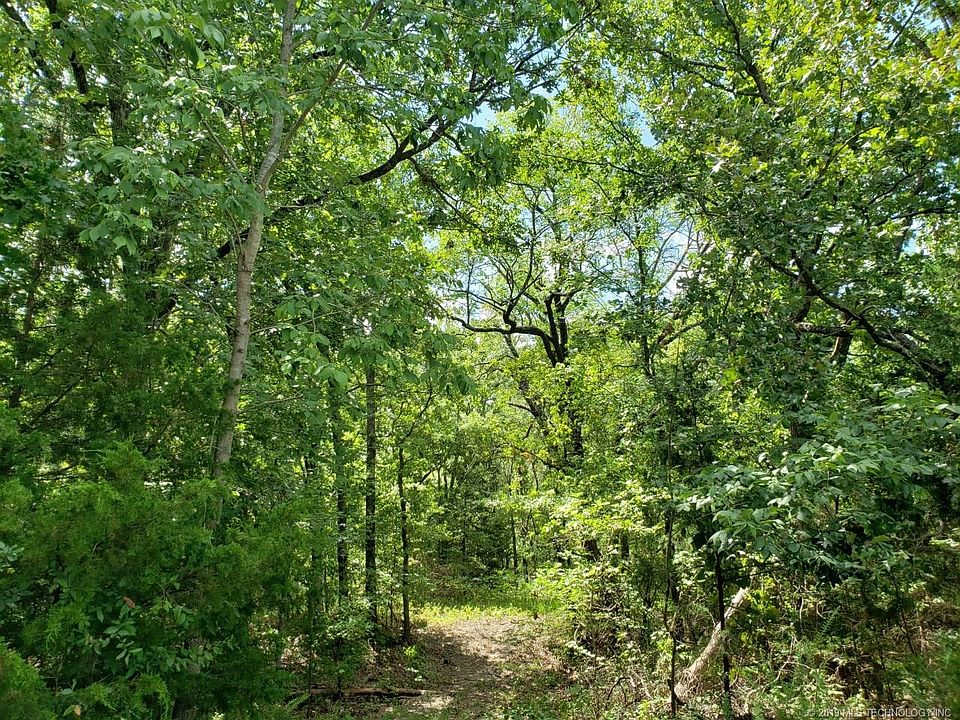 2nd image of 0 0000 N County Road 3549