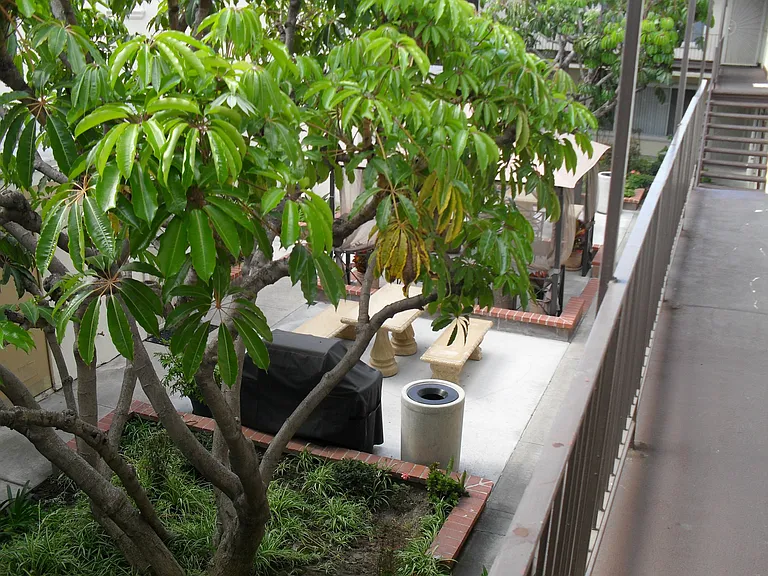 Parkridge Apartments — Photo 17