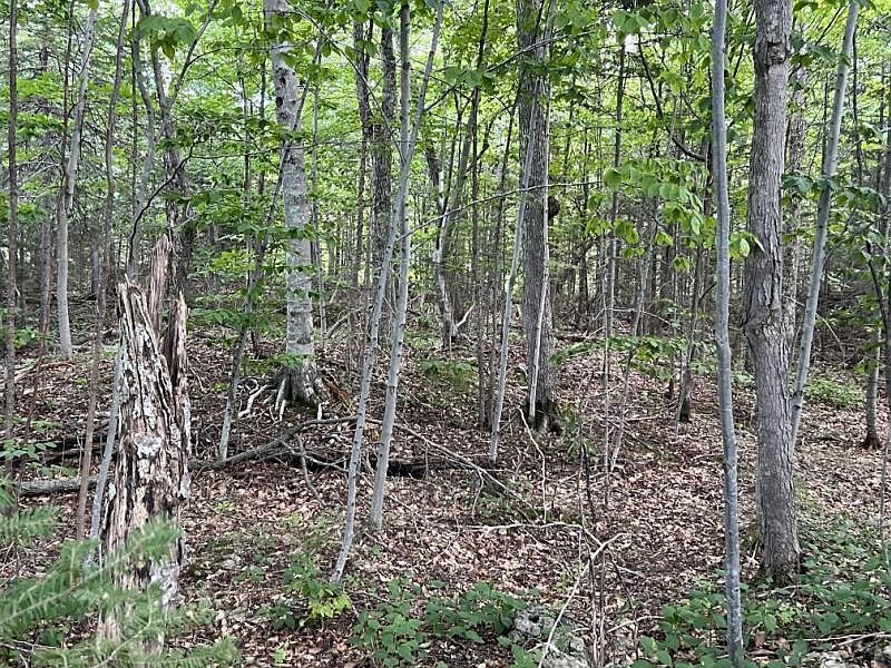 2nd image of Stonecliffe Mnr Lot 40-II