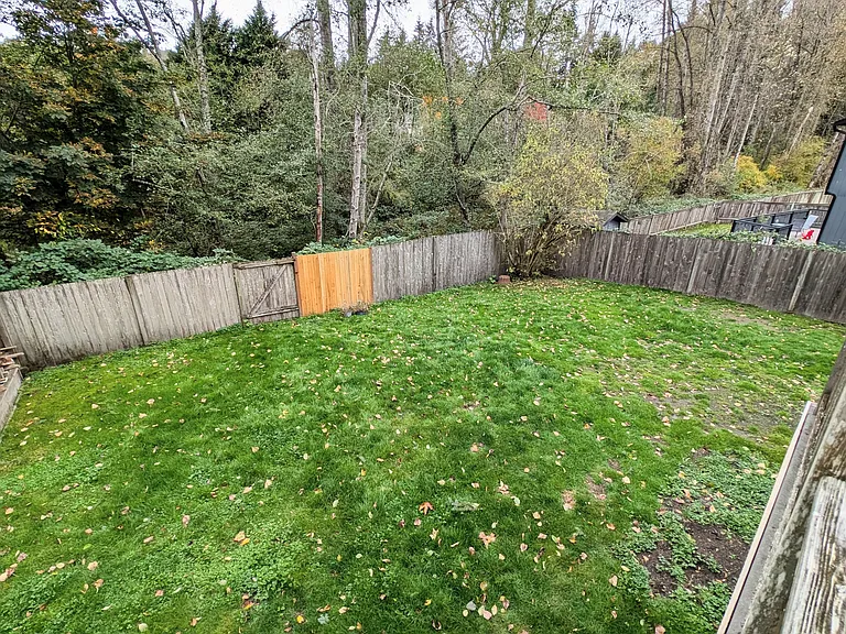 Backyard (2)