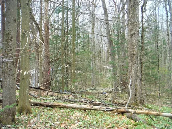 0 Nys Rte Lot 15, Barneveld, NY 13304