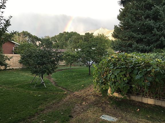 Berry Garden and Orchard