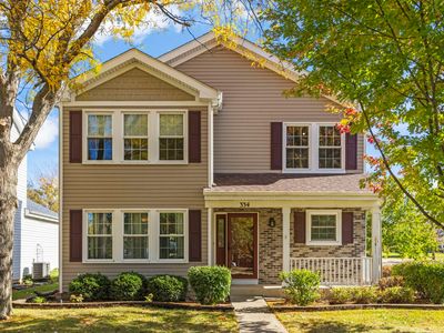 334 Ogden Falls Blvd, Oswego, IL, 60543