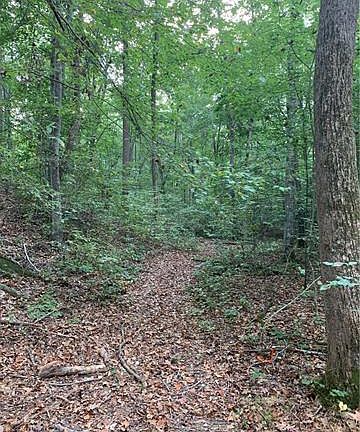 5th image of 573 Hickory Wood Dr