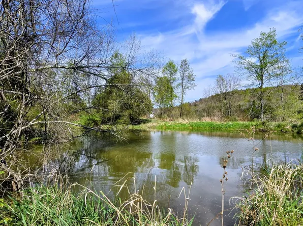 1181 Whitecreek Rd, Meshoppen, PA 18630