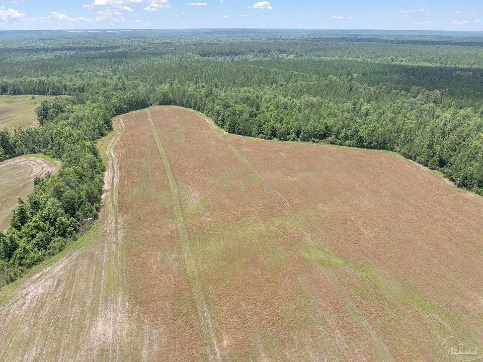 2nd image of LOT 55 Mineral Springs Rd