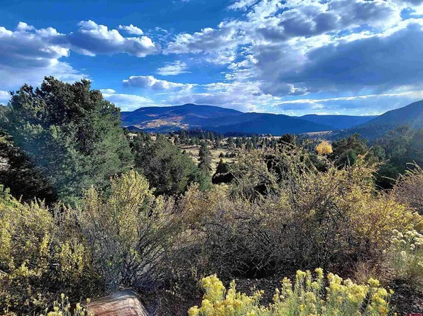 3075 Bear Creek Circle, South Fork, CO 81154