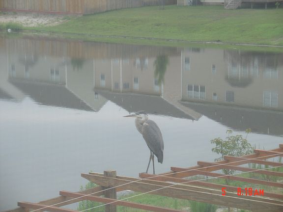 4th image of 5401 Ann Arbor Ln