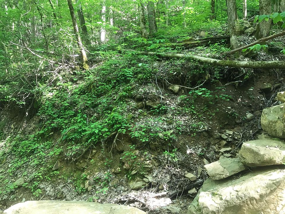 2nd image of Black Walnut Flats Rd