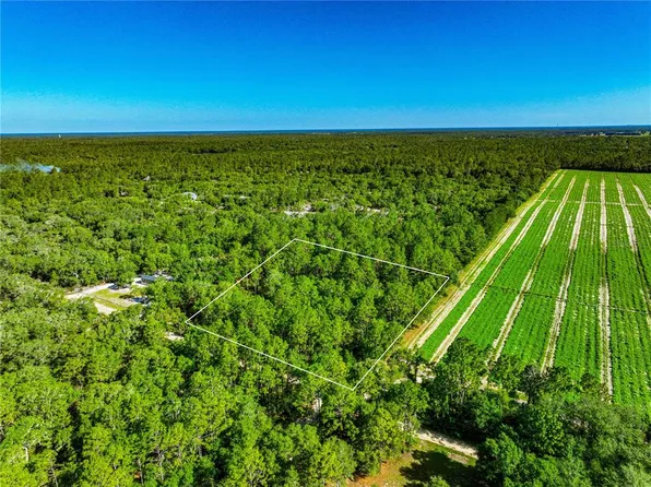 NE 75th St, Bronson, FL 32621