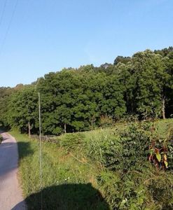 1850 Old Ping Rd, Somerset, KY, 42503
