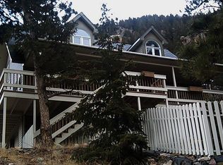 1110 Biddle St, Georgetown, CO 80444