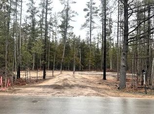 V/l L71 75 Evergreen Dr, Grayling, MI 49738