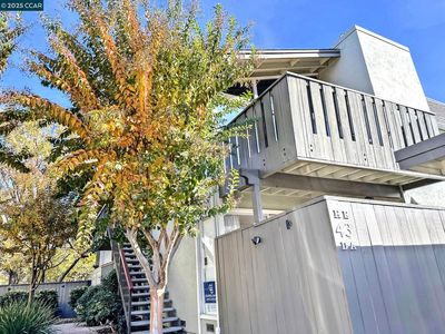 43 Massolo Dr APT A, Pleasant Hill, CA, 94523