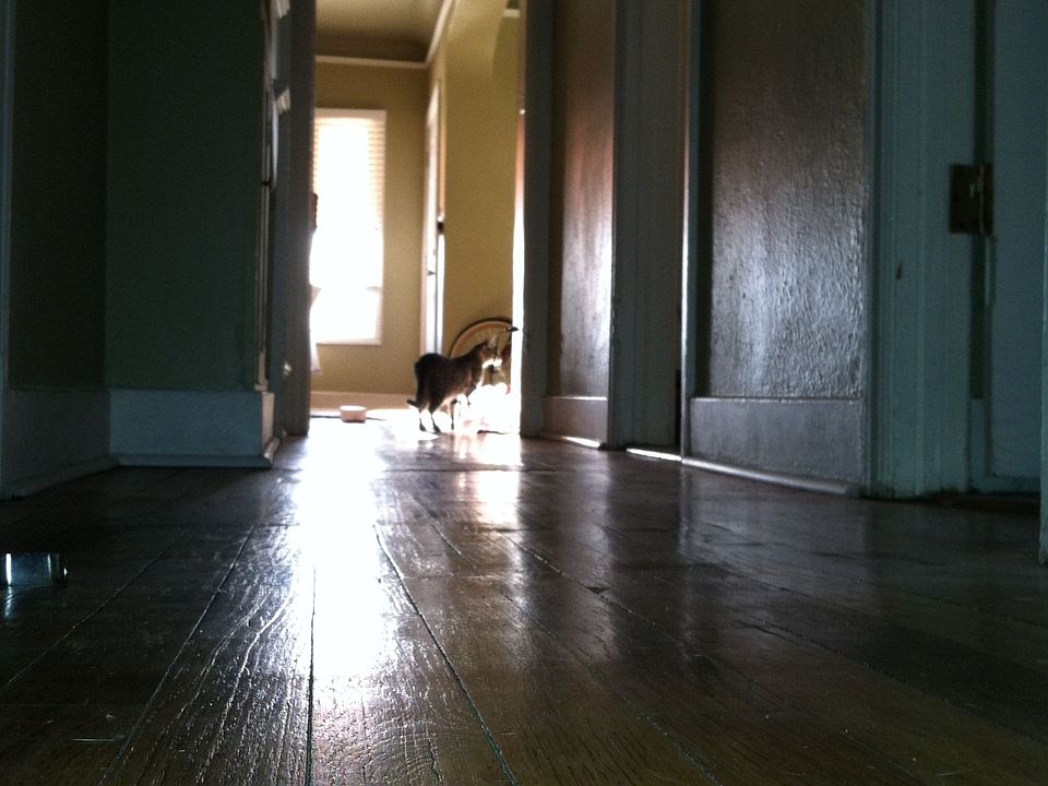 hardwood floors