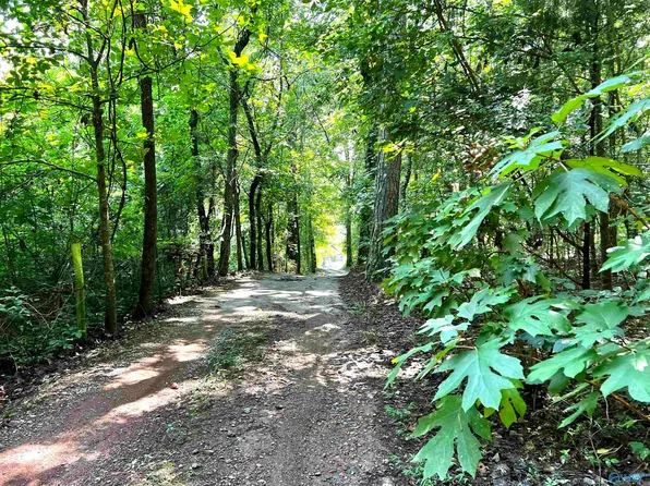 6446 Trussville Clay Rd, Trussville, AL 35173