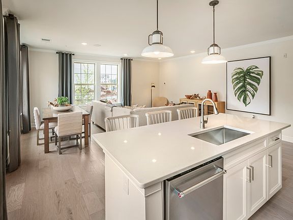 Designer kitchen