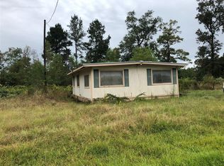 100 Lakeview Dr, Shepherd, TX 77371