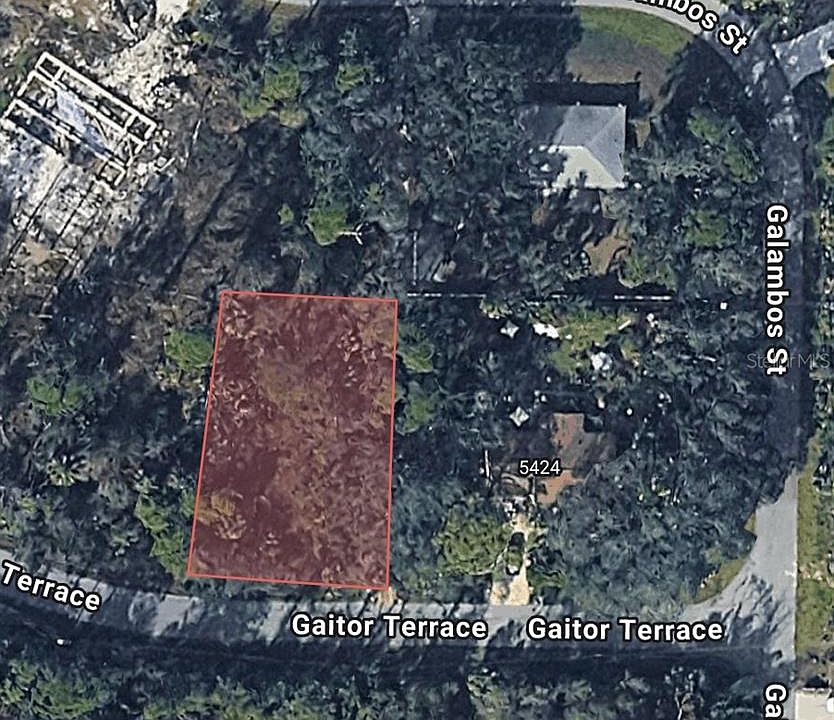 1st image of Gaitor Ter Lot 17