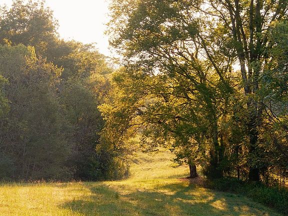 90th image of 3685 Martin Ervin Rd