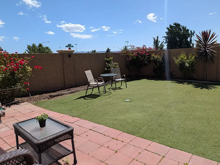 Backyard - Synthetic Grass