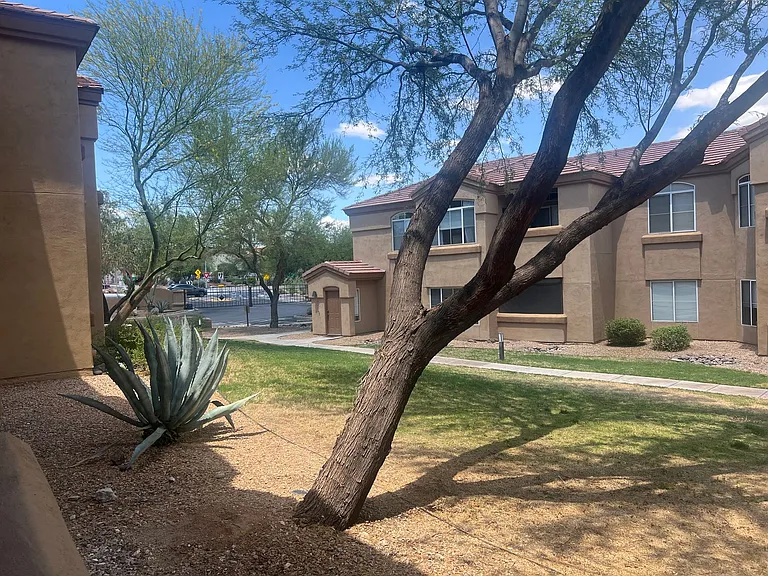 7050 E Sunrise Dr #8102 — Photo 9