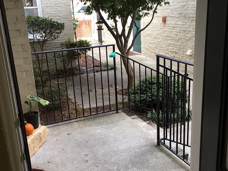 View from Backdoor