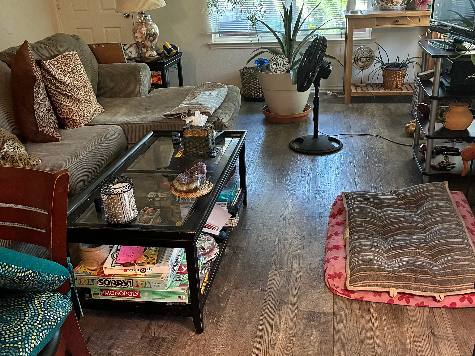 3 bed, $750 — Photo 3