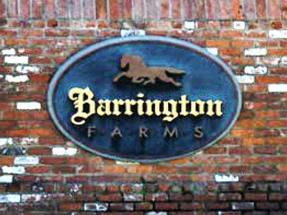 2nd image of Barrington Farms Dr Lot 4-6