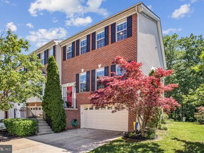 6693 Ordsall St, Alexandria, VA, 22315