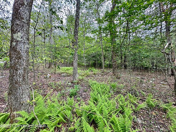 5th image of LOT-56B June Dr