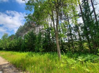 Beall Rd, Bear Lake, MI 49614