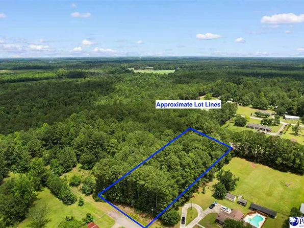 Alma Ct Lot 1, Marion, SC 29571