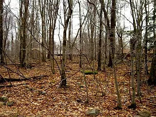33 Middle Ridge Dr photo 1